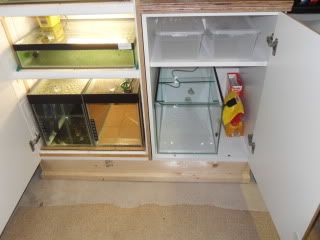 SDC11447.jpg