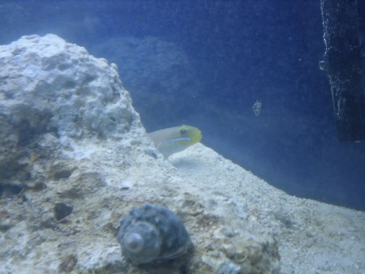 SDC10302.jpg