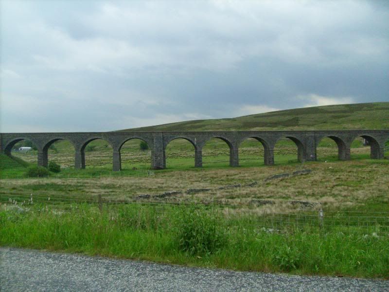 Picture230.jpg