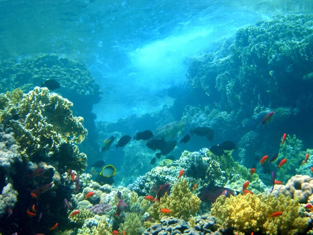 P1010060c.jpg