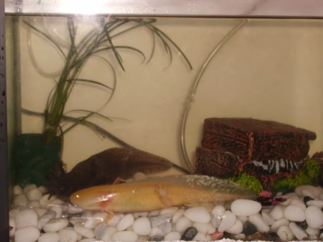 PICT0012.jpg