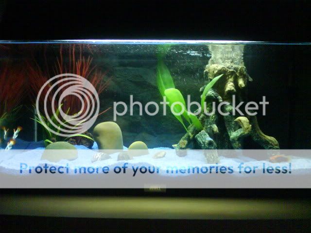 DSC00614-1.jpg