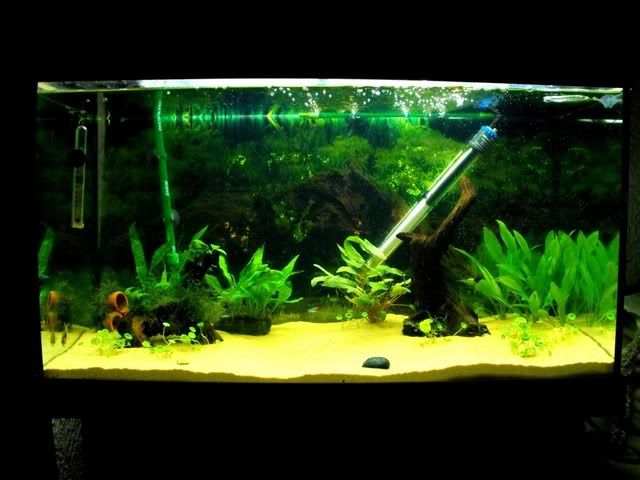 2010_0629118tank0001.jpg