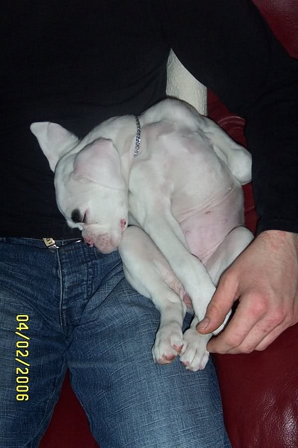 Picture036.jpg