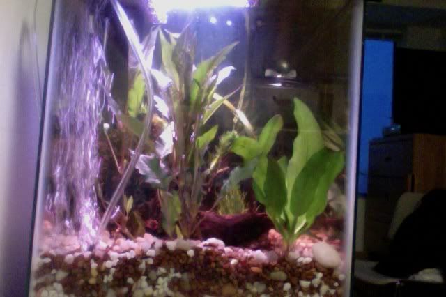Photoon2-29-12at545PM2.jpg