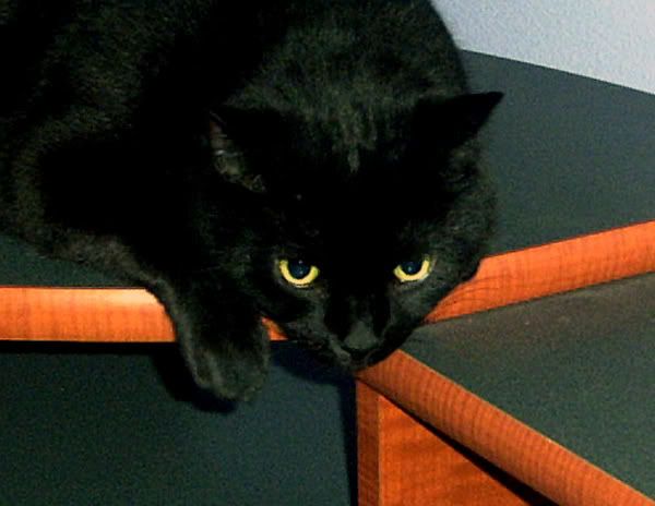 Onyx.jpg