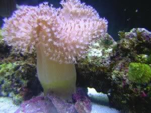 DSCN1705.jpg