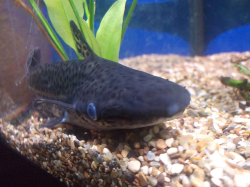 DSCF2075.jpg