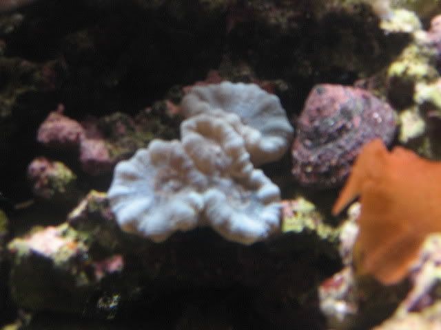 IMG_0987.jpg