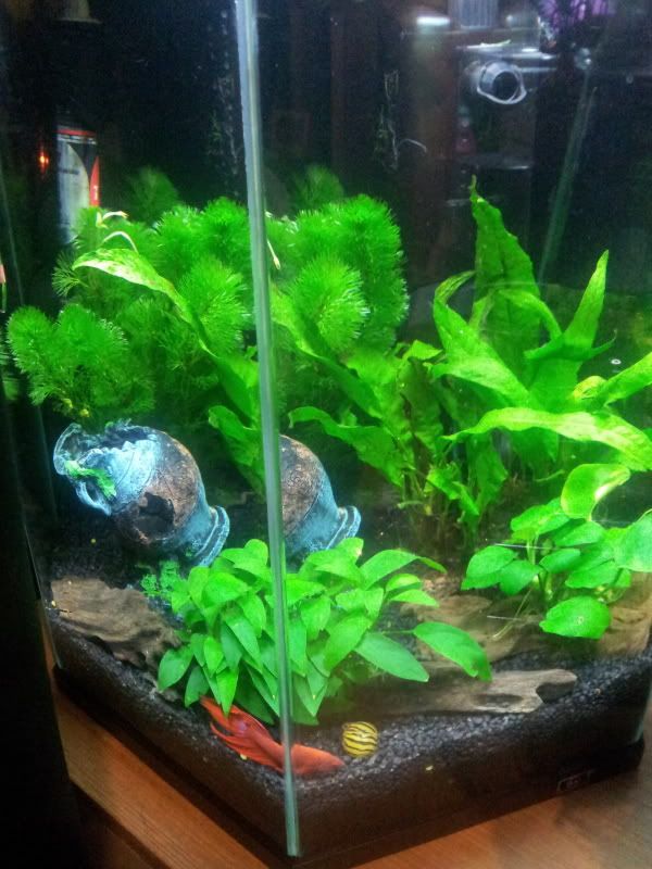 2012-03-17210028.jpg