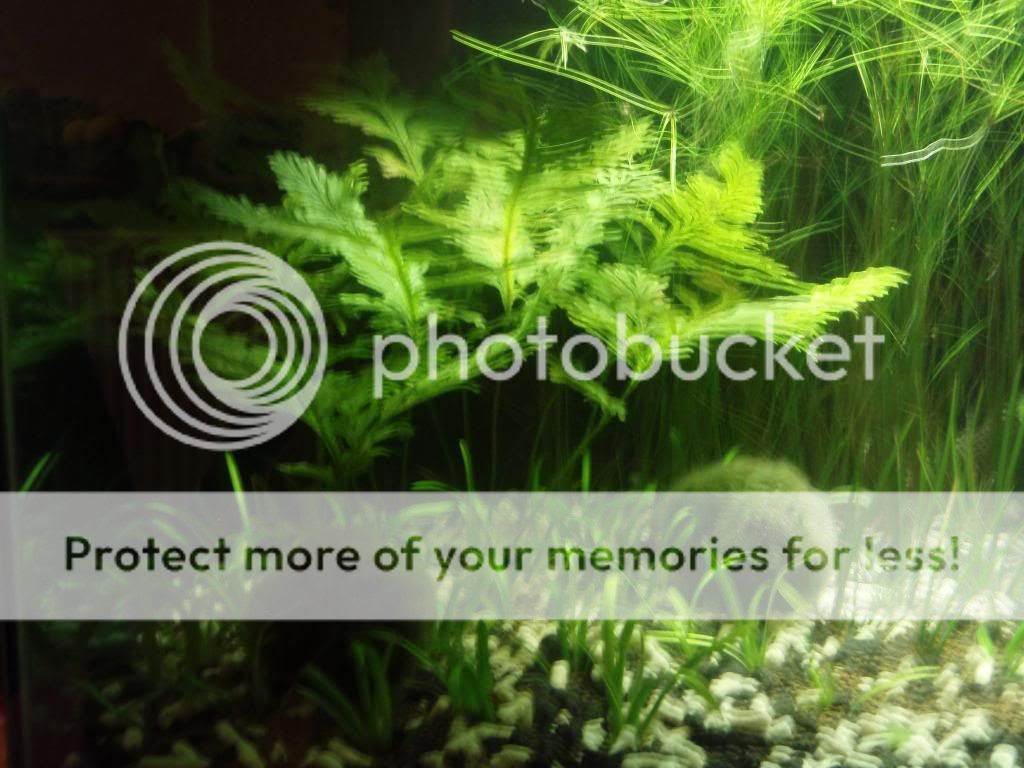 PB050186.jpg