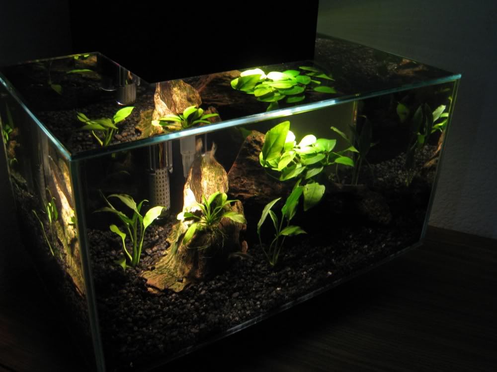 newtank3.jpg