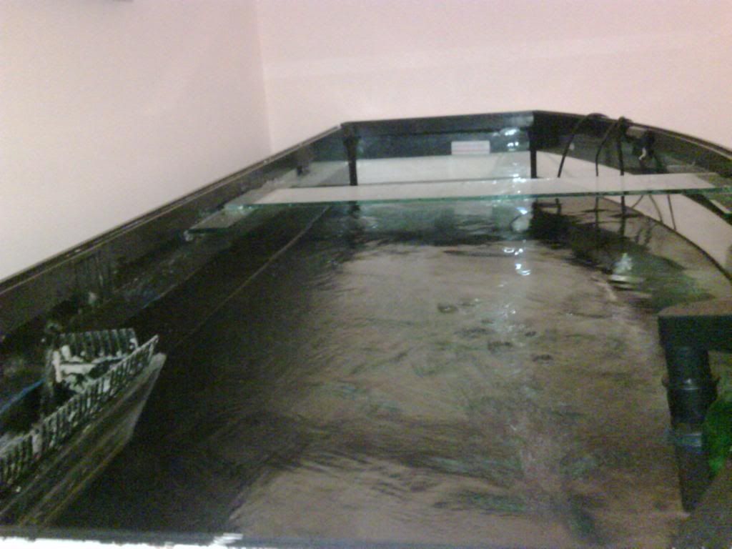 IMG00079-20090418-2206.jpg