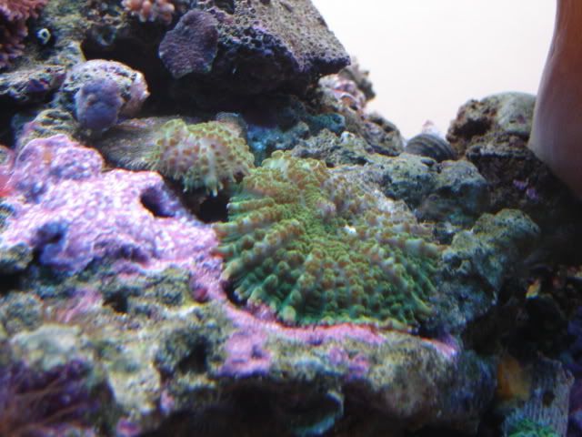 DSC05312.jpg