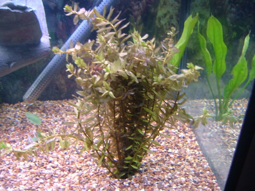 DSCF3825.jpg
