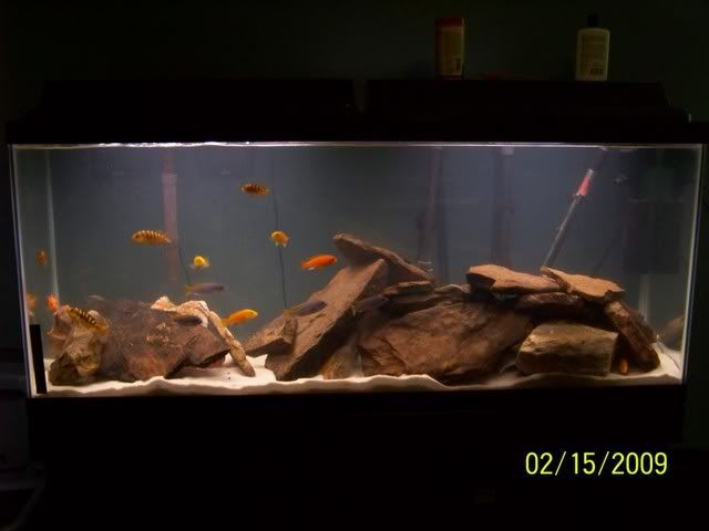 100_1382.jpg