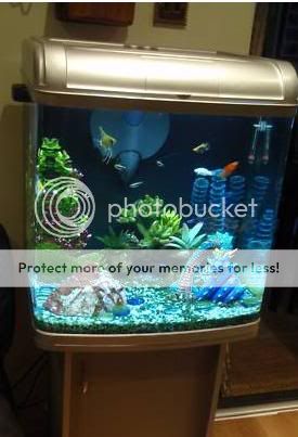 Fish.jpg