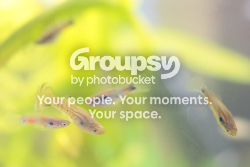 a56fa079.jpg
