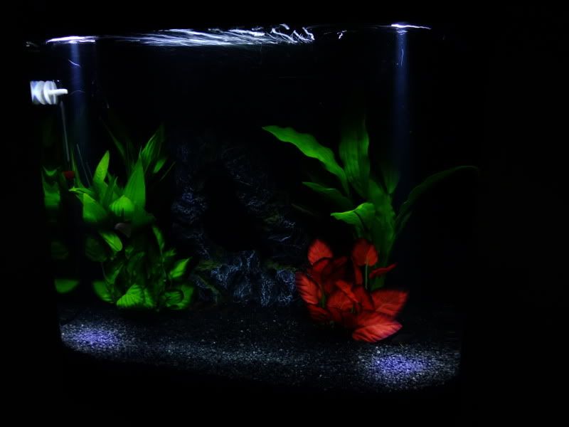 DSCF2431.jpg