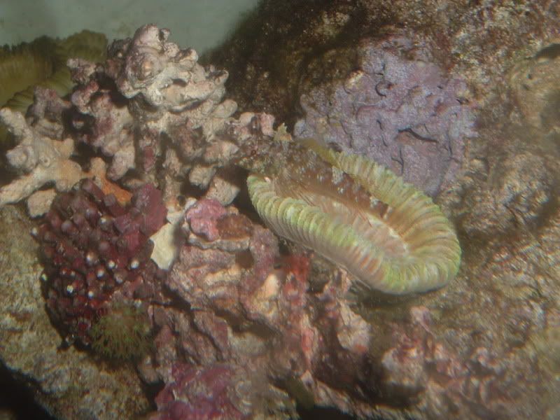 DSCF7957.jpg