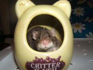 DSCF2808.jpg