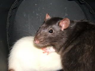 DSCF2856.jpg