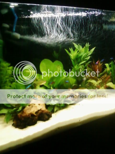 SP_A0055.jpg