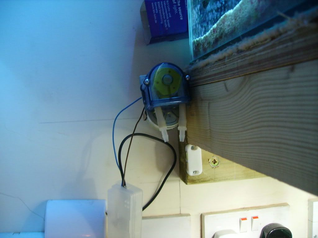 top-off006.jpg