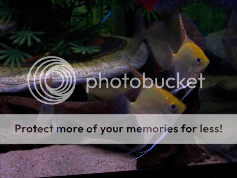 100_5970.jpg
