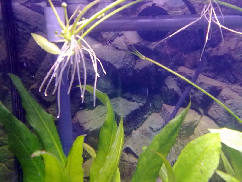 05032011264.jpg