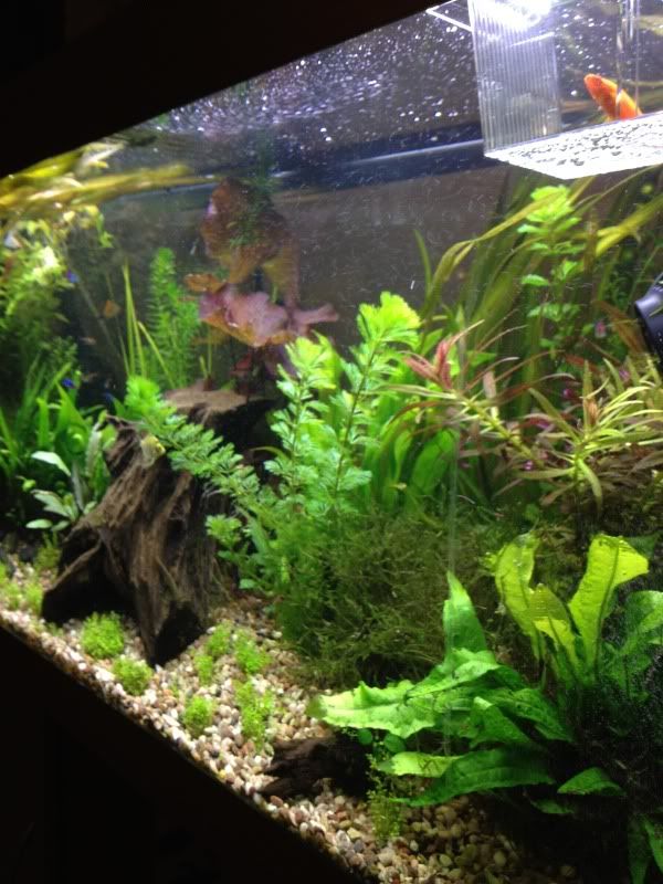 tank004.jpg