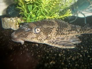 100_0160.jpg