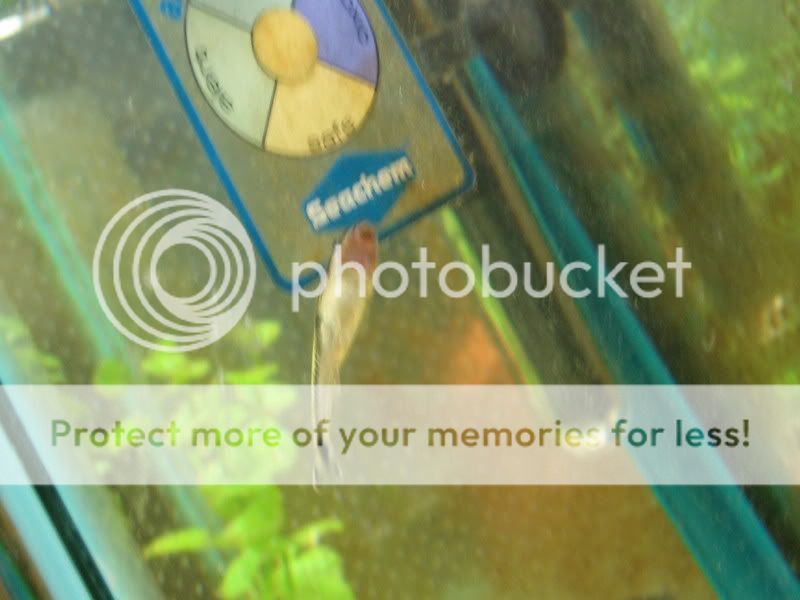 PictureorVideo366.jpg