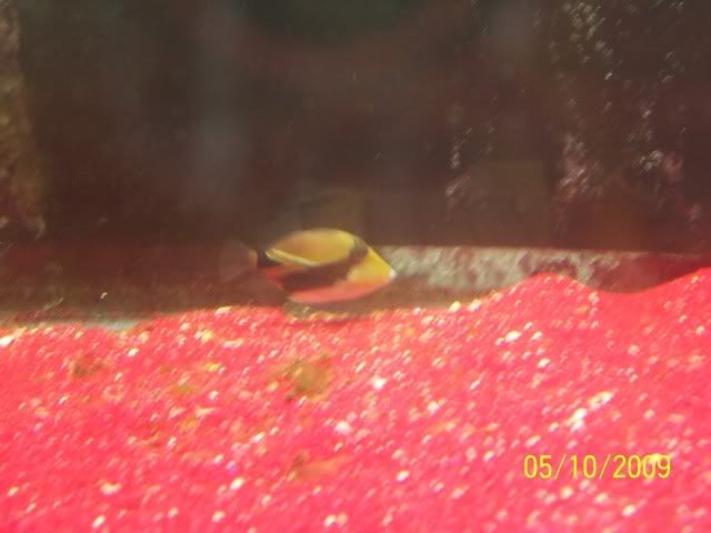 100_6127.jpg