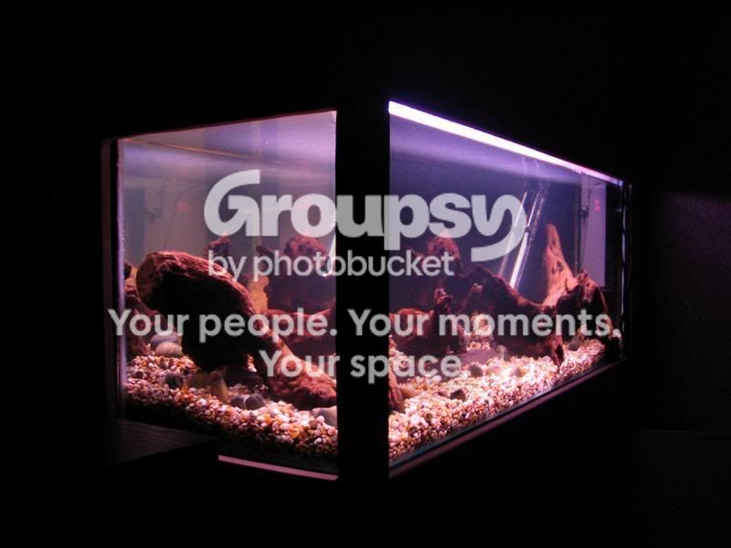 0124.jpg