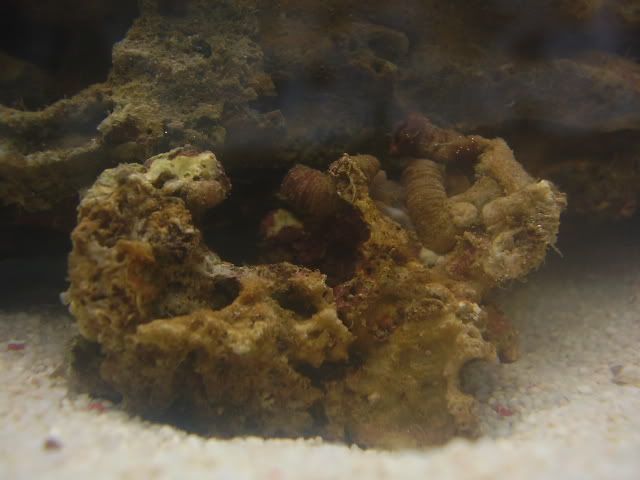 010-1.jpg