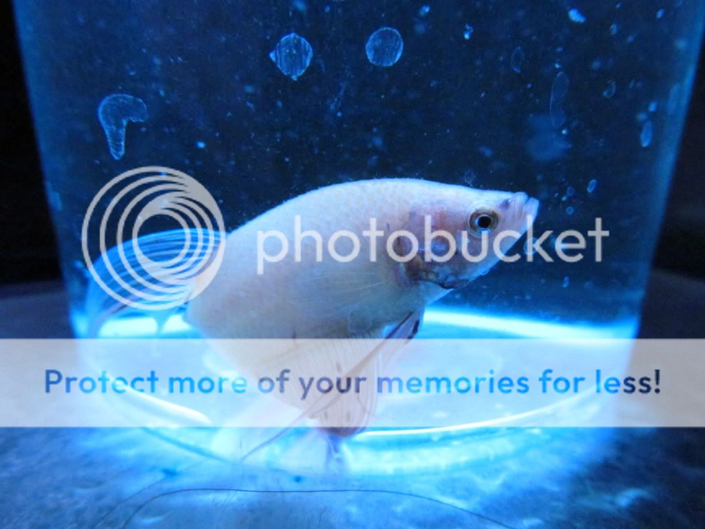 IMG_0389.jpg