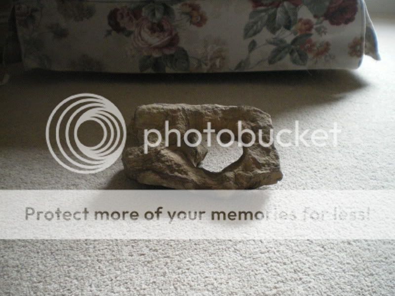 IMGP0105.jpg
