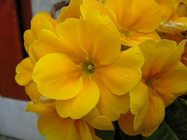 Photo1305.jpg