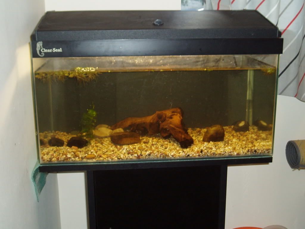 P1010069-3.jpg