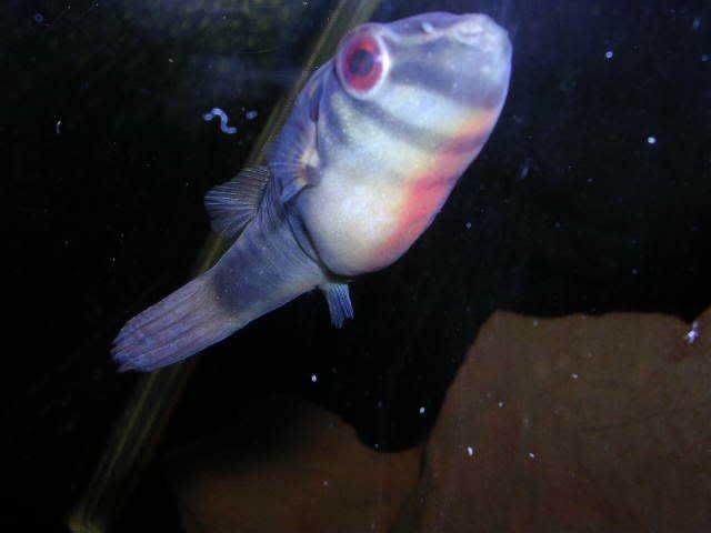 DSCN2667.jpg