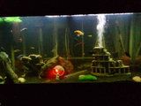2012-07-22203751.jpg