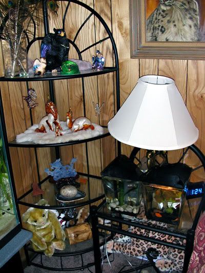 DSCN8079.jpg