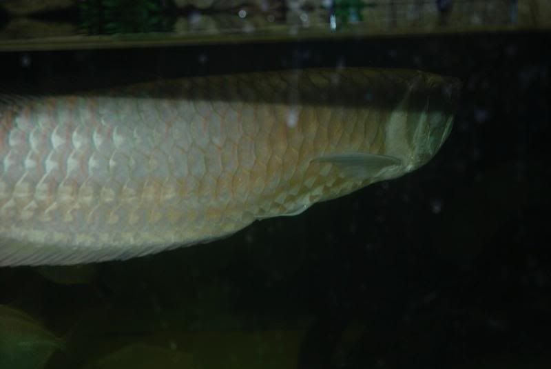 DSC_3674.jpg