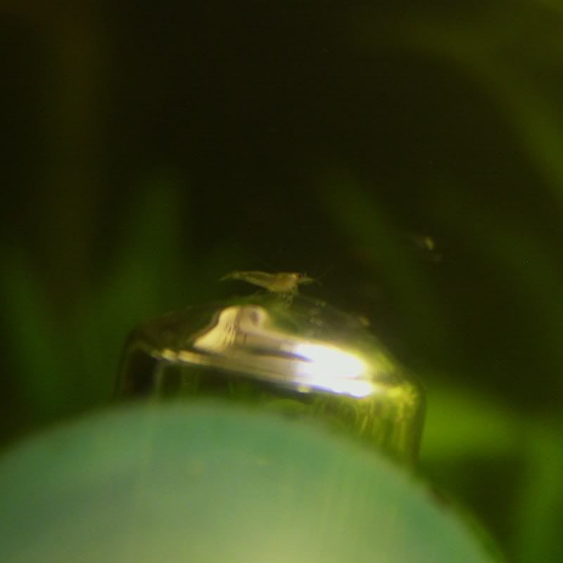S7004178.jpg