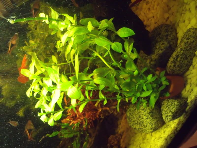 DSCF1757.jpg