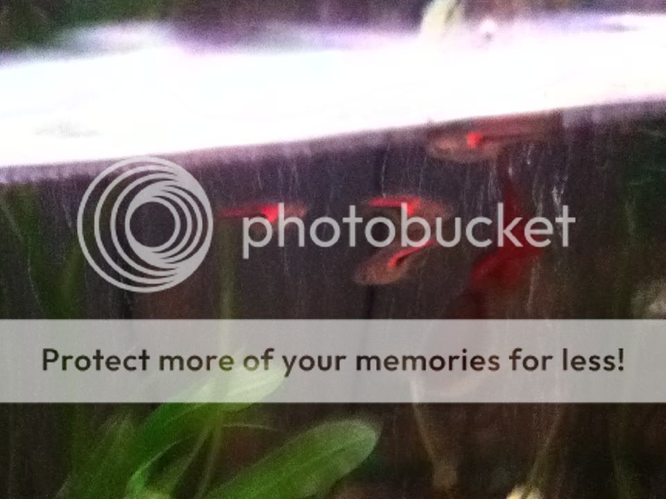 photo6.jpg