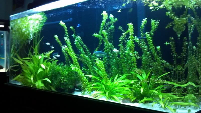 2013-09-05_20-44-28_375_zps3c760465.jpg