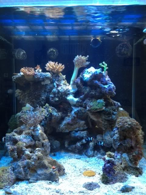 photo3-19.jpg