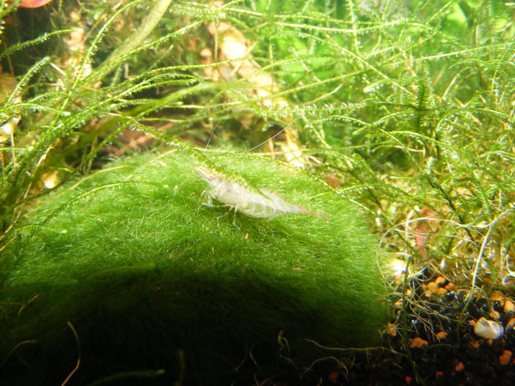 DSCF0588.jpg
